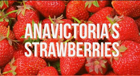 🍓AnaVictoria's Strawberries 🍓