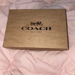 Cherry Coach Bag