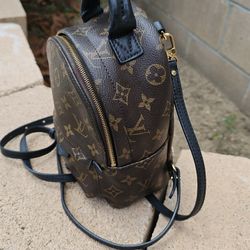 Louis vuitton Palm springs Mini Backpack