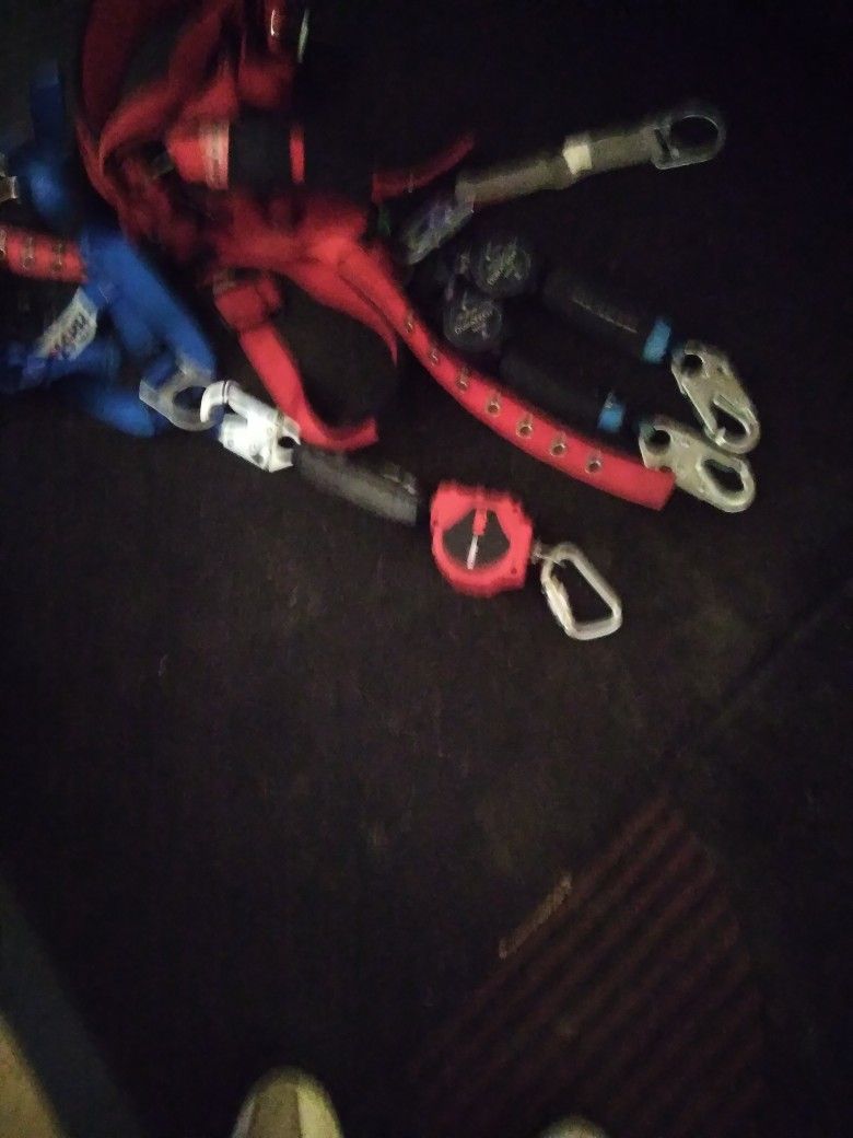 Safety Belts