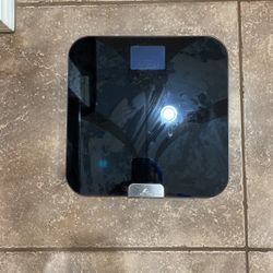 Scale By Weight Gurus