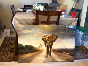 Lone Elephant GLASS Picture