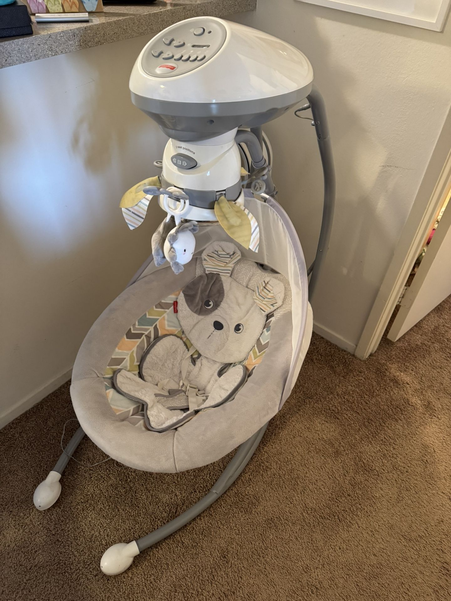 Baby Swing