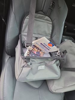 Small dog carseat