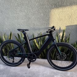 Mercedes-Benz F1 N+ Electric Bike Track Edition 