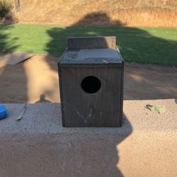 Bird Nest
