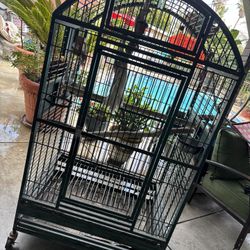 Bird Cage (Big)
