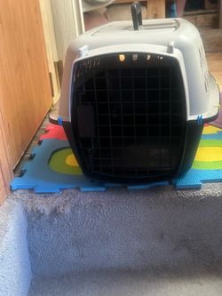 Little  dog  crate
