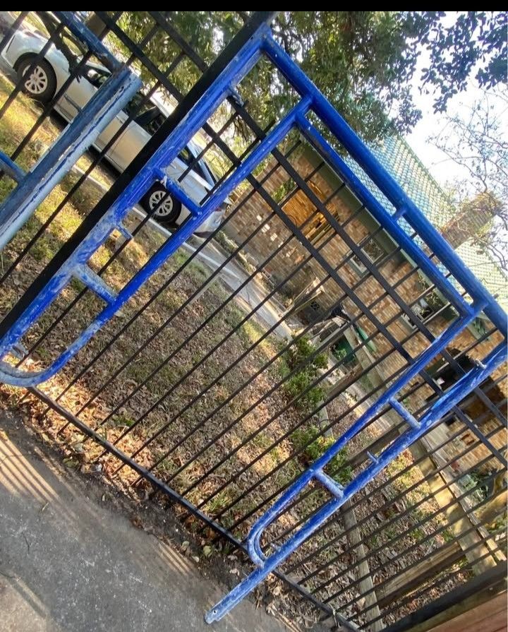 Scaffold