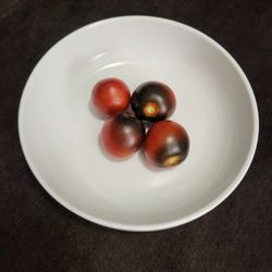 Extremely Rare Organic Indigo Blue  Chocolate Tomato Seeds! 2026 SEASON EARLY RELEASE! 