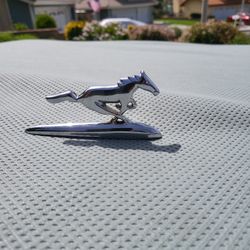 Hood Ornament 