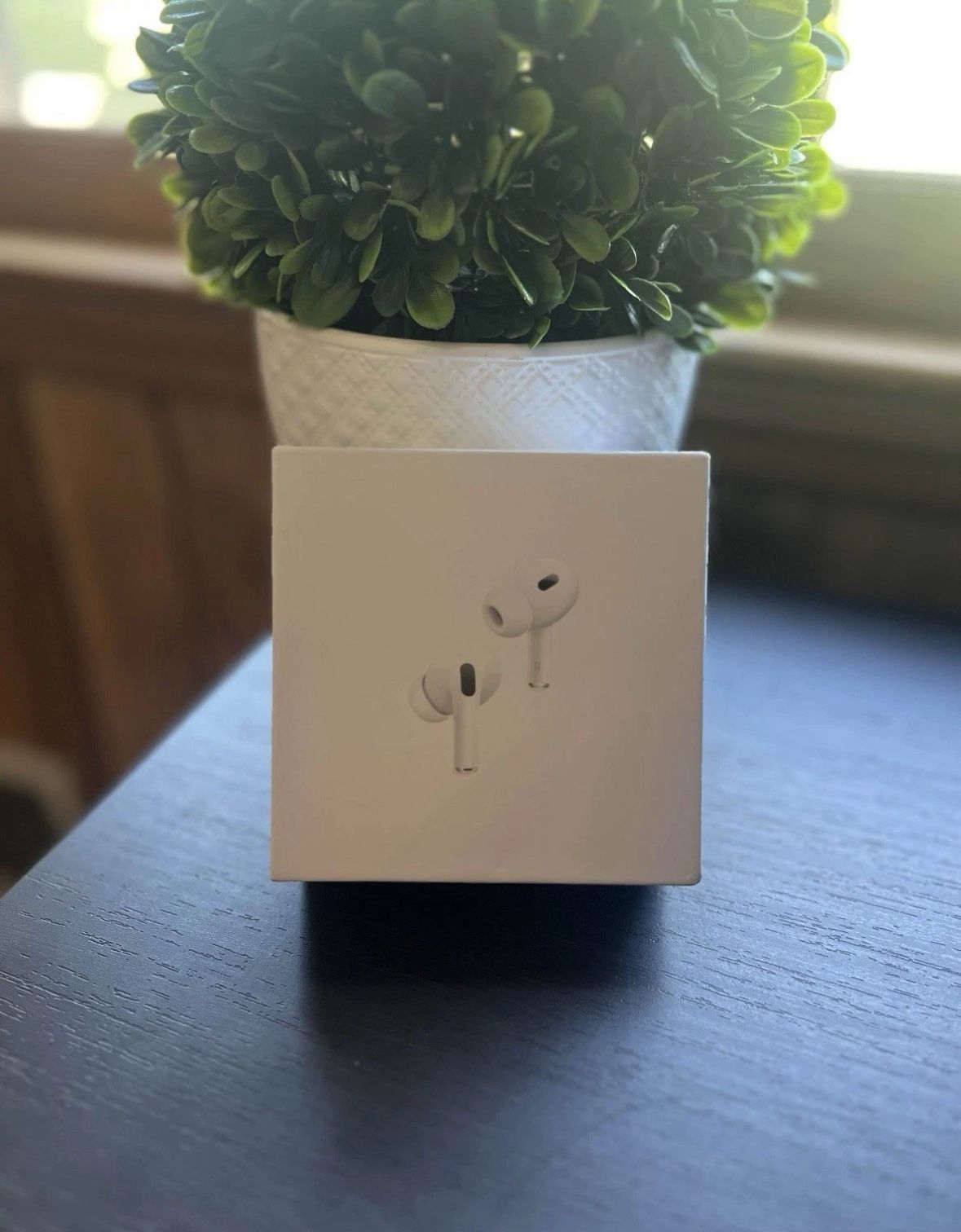 AirPod Pro 2s