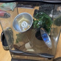 Tank with Lights And Decor 