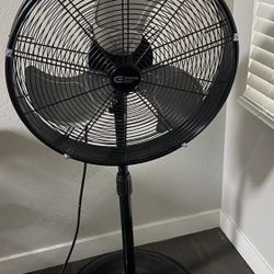 Fan 