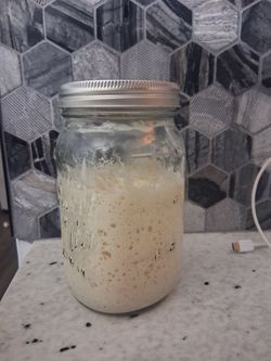 Bubbly active sourdough starter