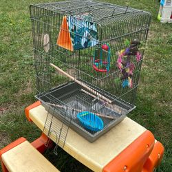 Bird Cage 