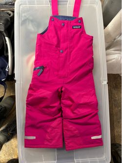 Kids 2T Patagonia snow suit like new