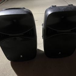 This outdoor amplifier comes with two speakers and delivers fantastic sound; it's perfect for outdoor performances and parties.