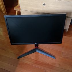 LG 24” Gaming Monitor