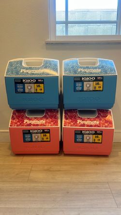 Igloo Coolers pink and blue