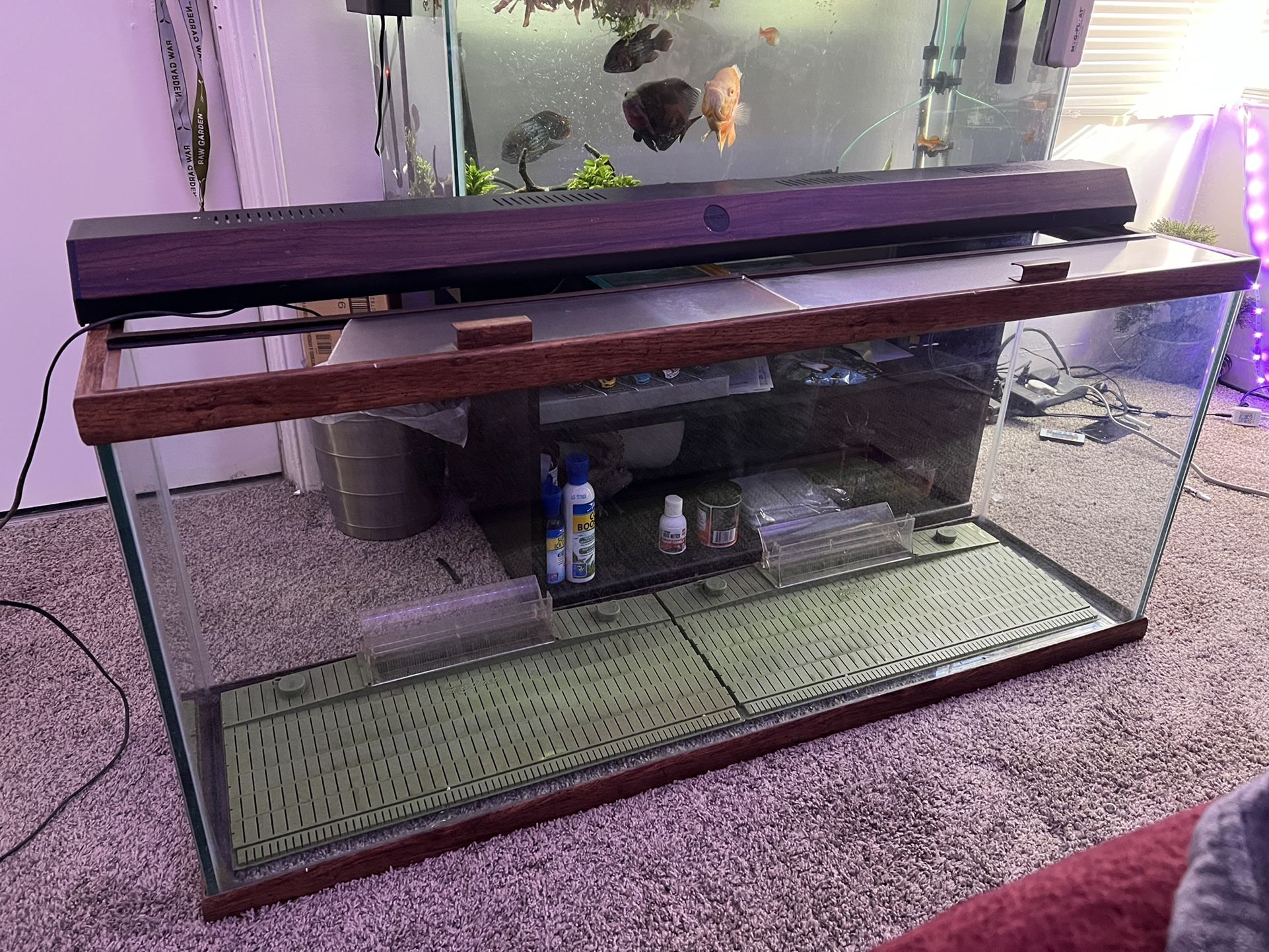 100 Gallon Aquarium And Accessories