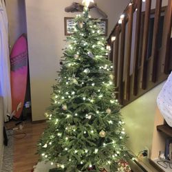6.5’ Balsam Hill Tree Balsam Fir ‘Most Realistic’