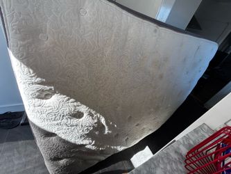 FREE Queen Mattress