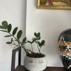 Happy Face Stone Planter Pot with Live Indoor ZZ Plant