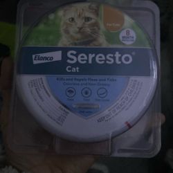 Sores Cat Collar 