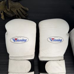 Winning Boxing Gloves 