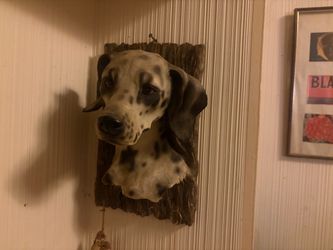Dalmation Figurine Collection
