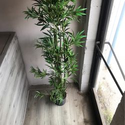Artificial Bamboo Tree 71”