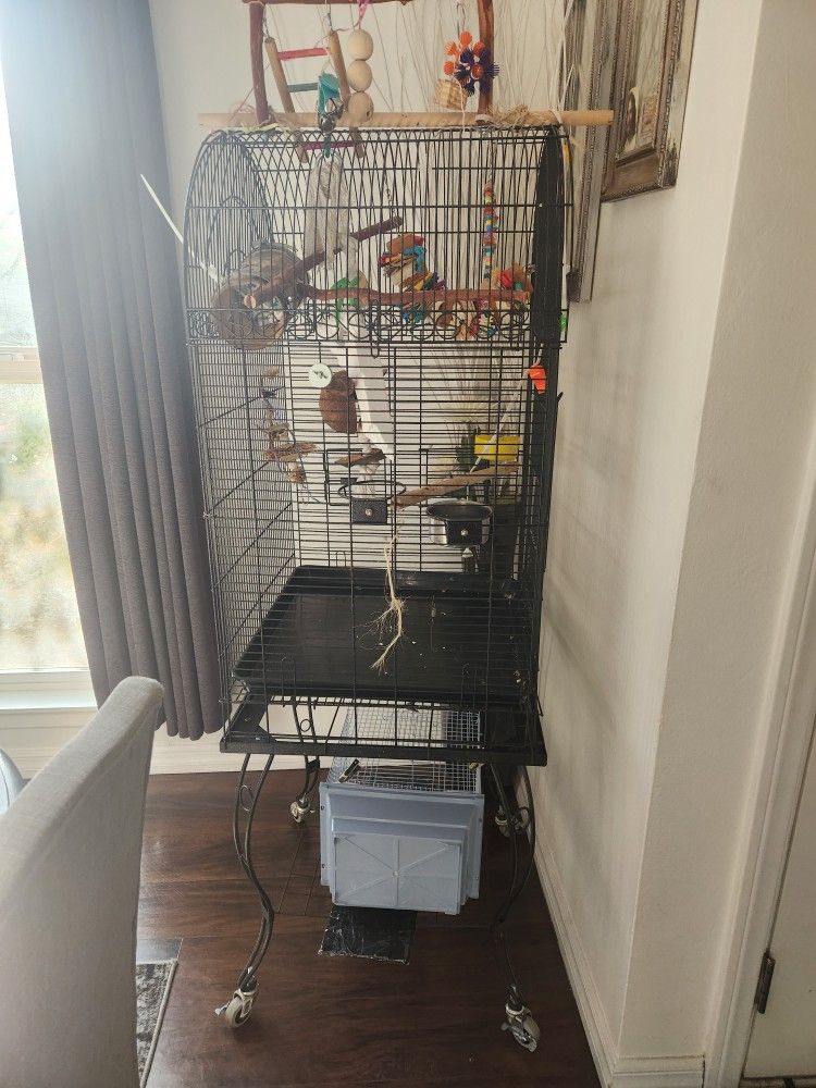 Bird Cages