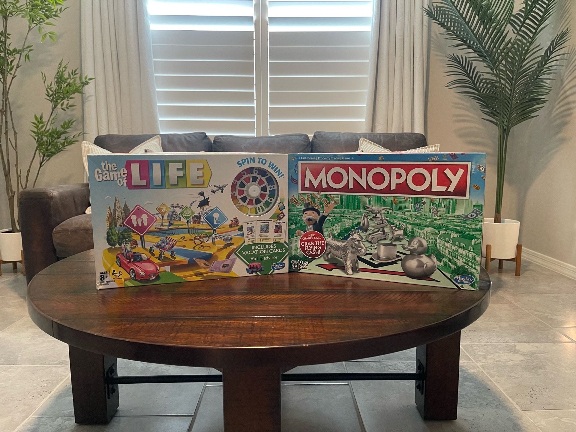 Monopoly and The Game of Life board games