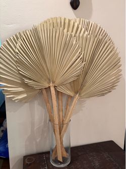 Five Dried Palm Leaves, 13-16 1/2 “ in Diameter: Steam 13” Long Natural Color