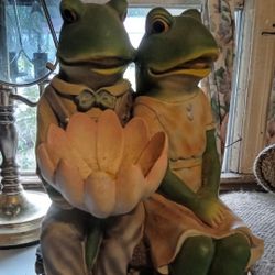 2 Frog's Sitting On The Bench 