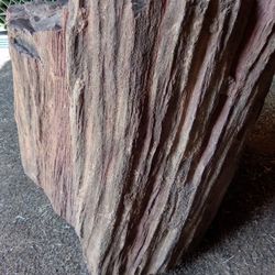 Petrified Wood Stump