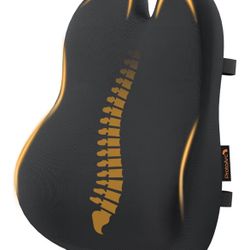 ProtoArc Lumbar Support Pillow for Office Chair, Memory Foam Back Support Pillow for Lower Back, Lumbar Cushion Desk Chair Back Cushion, Ergonomic Bac