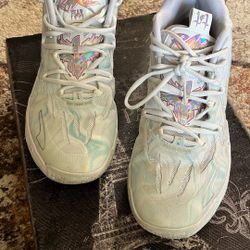 Multiple Sneakers!