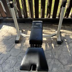 Bench Press
