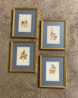 Gold framed dried flowers
