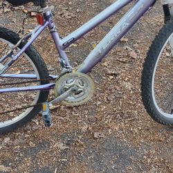 24-Inch Mountain Bike (Kent)
