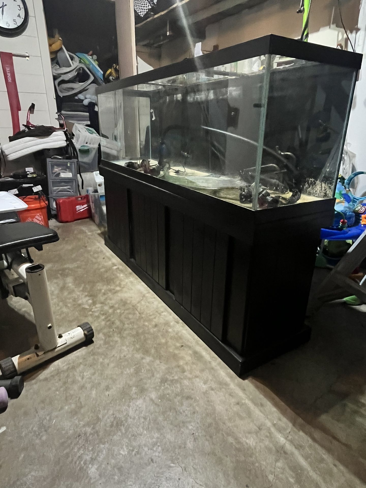 125 Gallon Fish Tank Sale – We FINALLY bought a 125G Community FISH ...