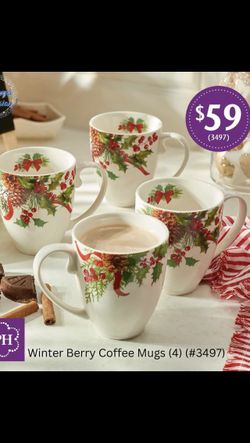 set de tazas y platos princess house