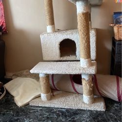 Cat House