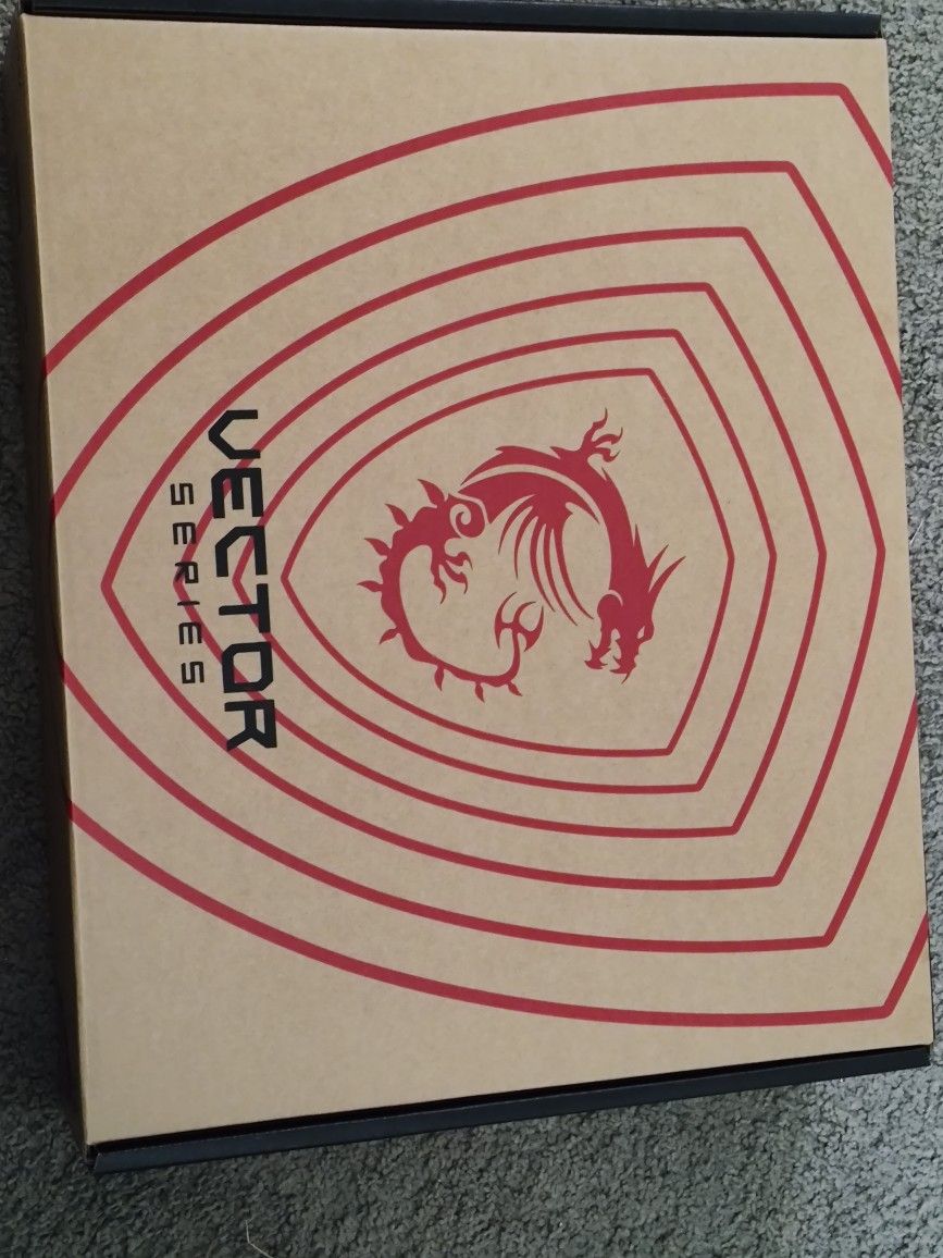 MSI Vector