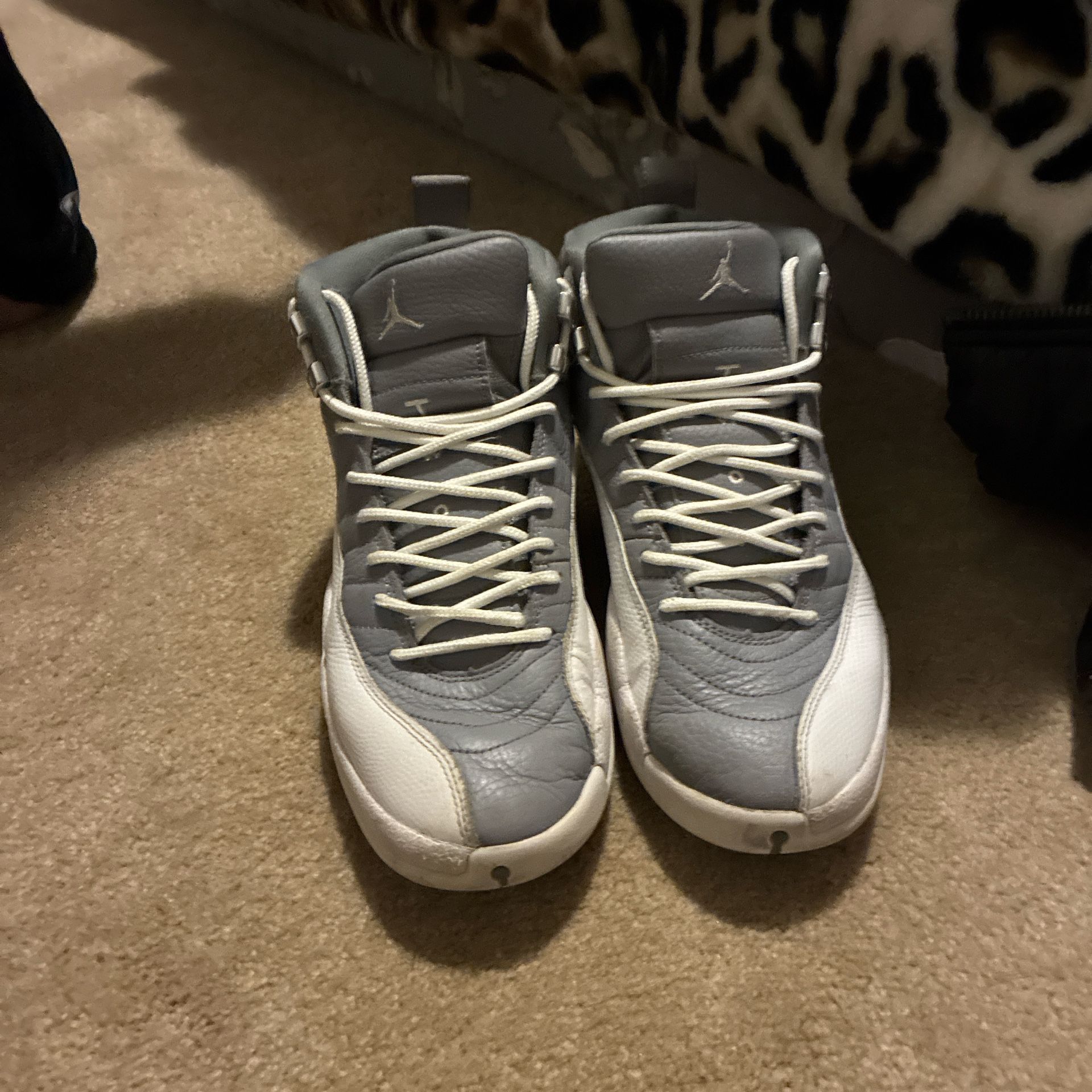 cool grey 12’s