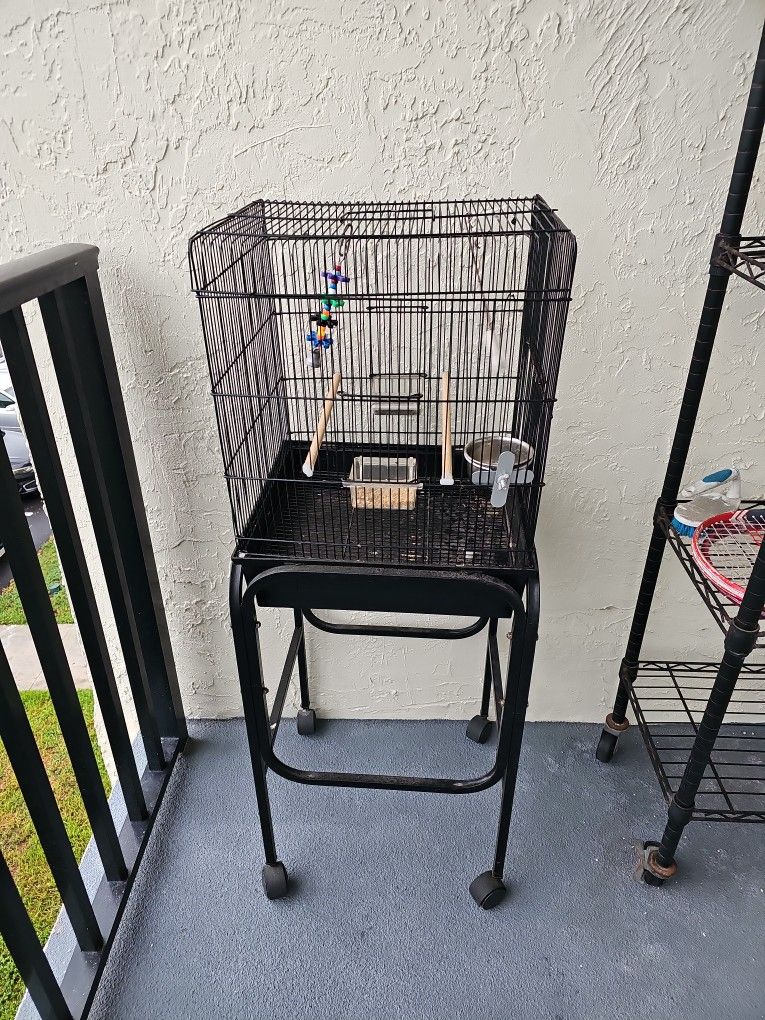 Bird Cage