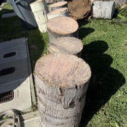 Plant Stands/ Garden Decoration