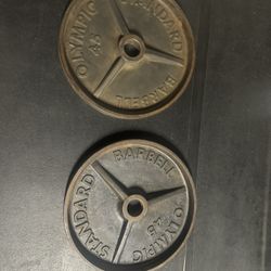45lb Plates 